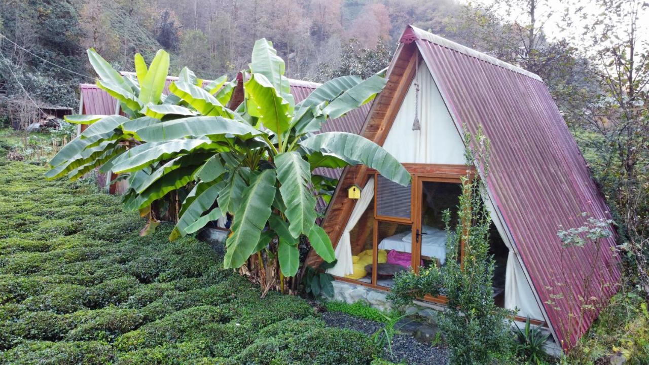 Tabiat Bungalows Otel Camlihemsin Exterior foto