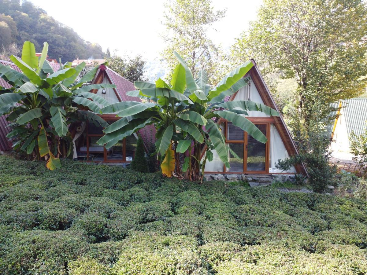 Tabiat Bungalows Otel Camlihemsin Exterior foto